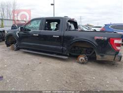 فۆرد F-150